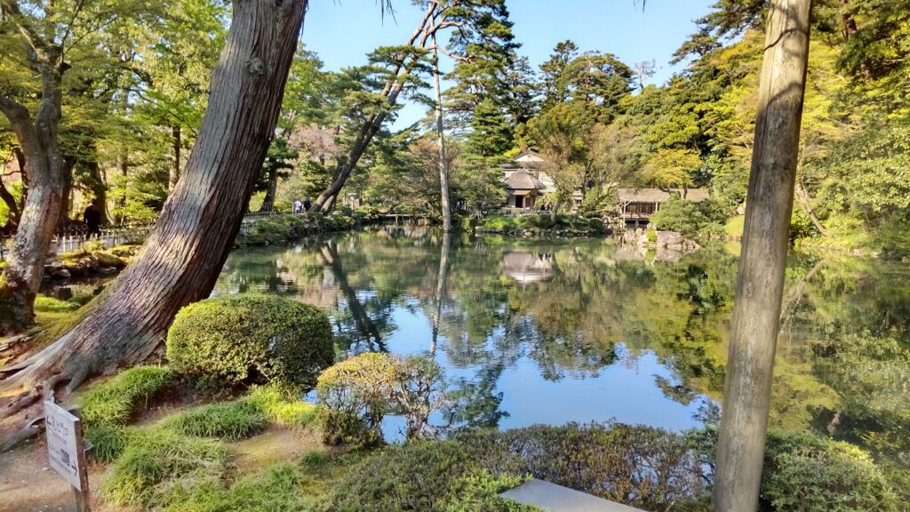 湖面と木