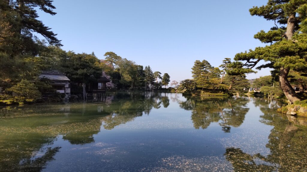 池からの眺望